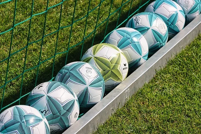 10 Soccer Balls